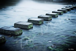 image by tim Maher